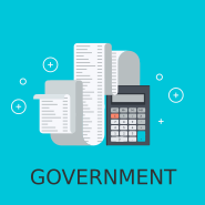 Government